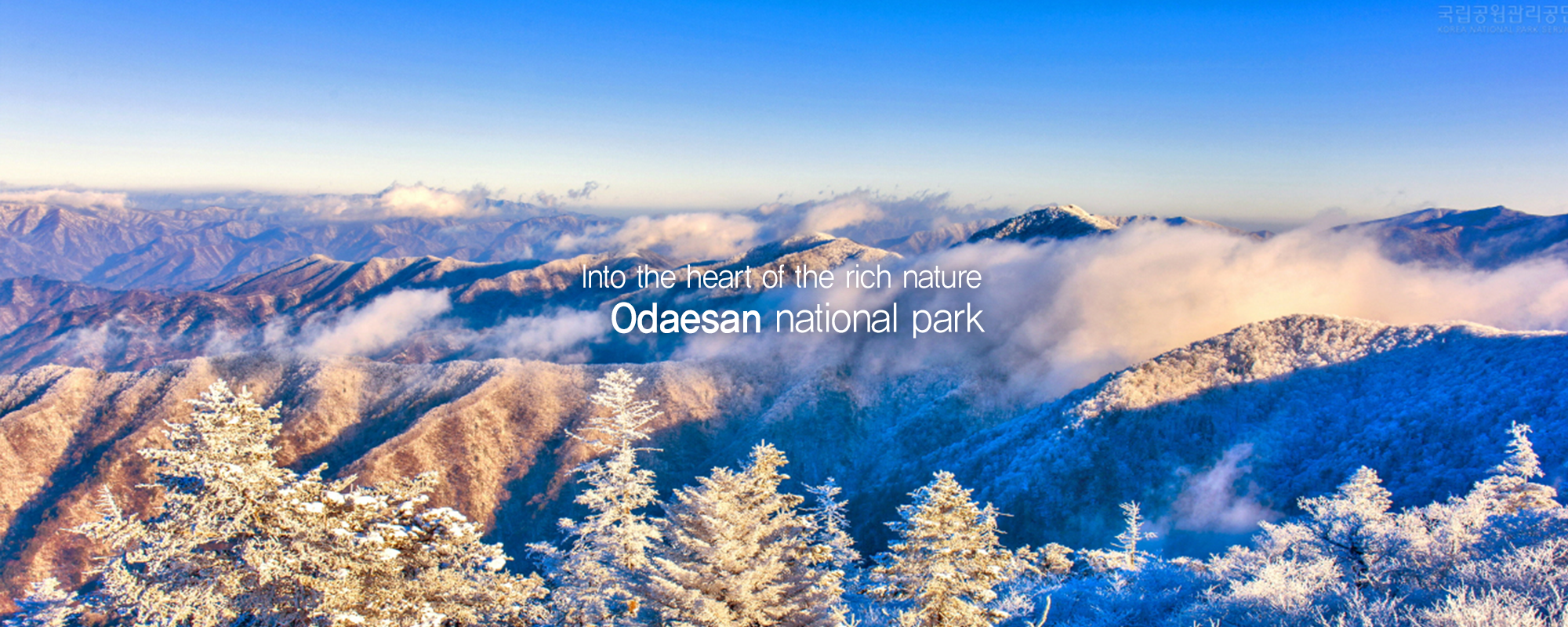 
Into the heart of the rich nature - Odaesan national park