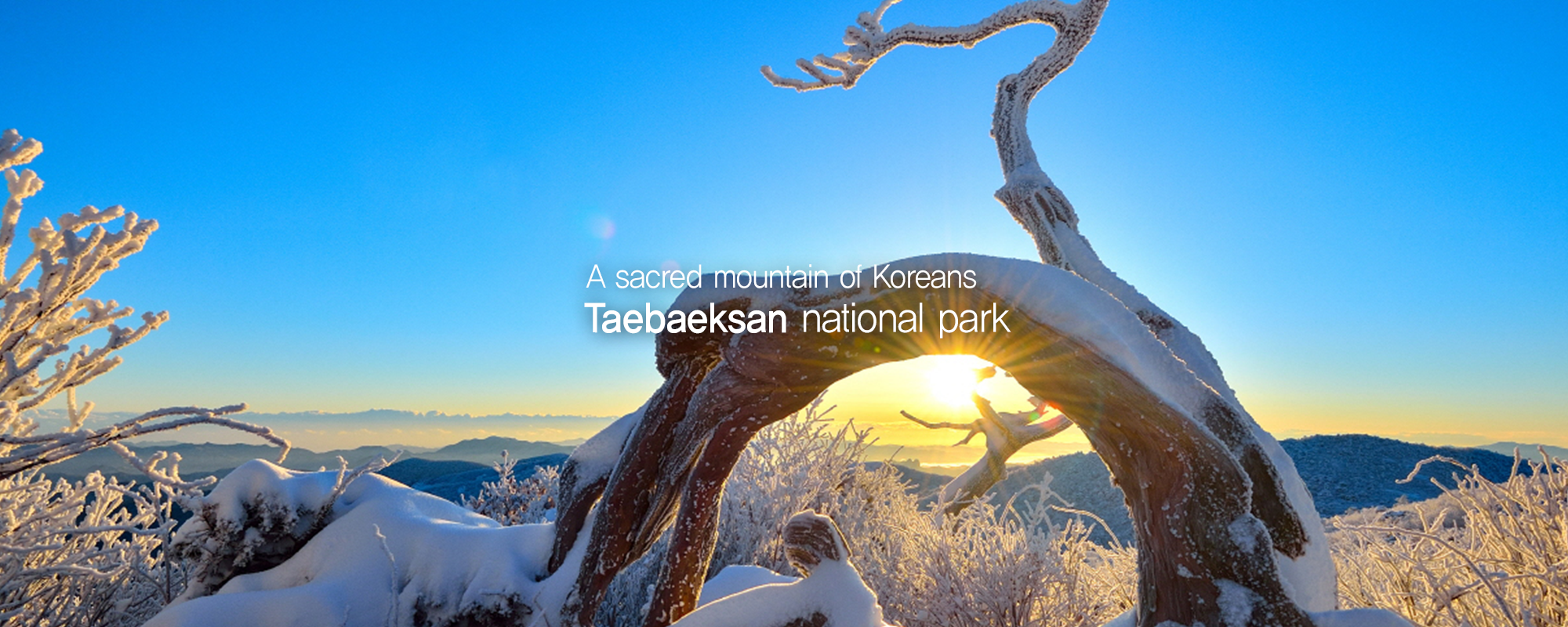 A sacred mountain of Koreans - Taebaeksan national park