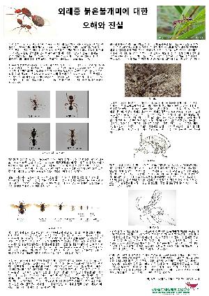 6회 외래종 붉은 불개미에 대한 오해와 진실 이미지