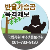 반달곰 목격제보 국립공원야생생물보전원 061-783-9120